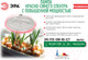 Миниатюра изображения товара Лампа для растений ЭРА FITO-18W-RB-E27 / Б0049533