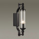 Миниатюра изображения товара Бра Odeon Light Tolero 4941/1W