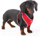 Миниатюра изображения товара Шлея-жилетка для животных Ferplast Nikita P (S, красный)