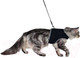 Миниатюра изображения товара Шлея с поводком Trixie 41895