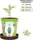 Миниатюра изображения товара Набор для выращивания растений Happy Plant Ель необыкновенная / hpn-10