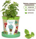 Миниатюра изображения товара Набор для выращивания растений Happy Plant Мелисса лимонная / hpn-4