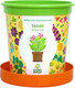 Миниатюра изображения товара Набор для выращивания растений Happy Plant Табак душистый / hpn-11