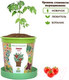 Миниатюра изображения товара Набор для выращивания растений Happy Plant Томат черри / hpn-7