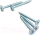 Миниатюра изображения товара Саморез ЕКТ С прессшайбой 4.2х51 сверло / BW000063 (250шт, оцинкованный)