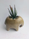 Миниатюра изображения товара Кашпо Нашы майстры Слон / 1070-2 (песочный)