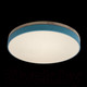 Миниатюра изображения товара Потолочный светильник Loftit Axel 10001/36 Blue