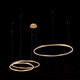 Миниатюра изображения товара Люстра Loftit Ring 10017/3M