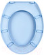 Миниатюра изображения товара Сиденье для унитаза Berossi АС 15808000 (голубой)