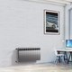 Миниатюра изображения товара Радиатор биметаллический Royal Thermo Biliner 500 Silver Satin (10 секций)