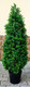 Миниатюра изображения товара Искусственное растение ForGarden Дерево Boxwood Tower / FGN BF01706