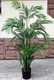 Миниатюра изображения товара Искусственное растение ForGarden Дерево Areca Palm / FGN BF01709