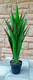 Искусственное растение ForGarden Дерево Agave Tree / FGN BF00579 — фото 2