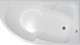Миниатюра изображения товара Ванна акриловая Triton София 170x95 R (с каркасом)