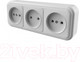 Миниатюра изображения товара Розетка Элект RA16-363-БЖ
