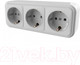 Миниатюра изображения товара Розетка Элект RA16-365-БЖ