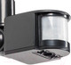 Миниатюра изображения товара Бра уличное Lightstar Diva 374347