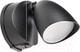 Миниатюра изображения товара Бра уличное Lightstar Diva 374137