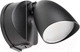 Миниатюра изображения товара Бра уличное Lightstar Diva 374147