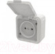 Миниатюра изображения товара Розетка Элект RA16-201-Б