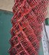 Миниатюра изображения товара Сетка-рабица Белзабор ПВХ D 2.4 1.8x10м (ячейка 55x55мм, рубиновый)