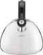 Миниатюра изображения товара Чайник со свистком Tefal Kettle ss induction / K2481574