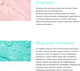 Миниатюра изображения товара Маска для губ Carelika Algae Peel Off Mask Lip Contour Контурная с морским коллагеном (10г)