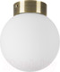 Миниатюра изображения товара Потолочный светильник Lightstar Globo 812011 (MX8131-1B-S)
