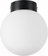 Миниатюра изображения товара Потолочный светильник Lightstar Globo 812017 (MX8131-1B-S)