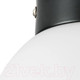 Миниатюра изображения товара Потолочный светильник Lightstar Globo 812017 (MX8131-1B-S)