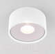 Миниатюра изображения товара Светильник уличный Elektrostandard Light LED 2135 35141/H (белый)