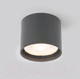 Миниатюра изображения товара Светильник уличный Elektrostandard Light LED 2105 35132/H (серый)