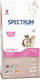 Миниатюра изображения товара Сухой корм для кошек Spectrum Kitten38 для котят с курицей (12кг)