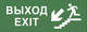 Миниатюра изображения товара Информационный знак ЭРА INFO-SSA-109 / Б0048478 (Выход/лестница вниз/фигура)