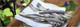 Миниатюра изображения товара Набор столовых ножей Opinel VRI Birchwood / 0018299 (4шт)
