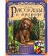 Миниатюра изображения товара Книга Умка Рассказы о природе. Золотые сказки