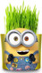 Миниатюра изображения товара Набор для выращивания растений Вырасти меня Миньоны Боб / hpd-17