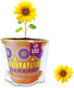 Миниатюра изображения товара Набор для выращивания растений Happy Plant Подсолнух декоративный / hpd-9