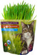 Миниатюра изображения товара Набор для выращивания травы для животных Happy Plant hpd-19