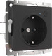 Миниатюра изображения товара Умная розетка Werkel W1171608 (черный матовый)
