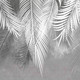 Миниатюра изображения товара Фотообои листовые Citydecor Пальмовые листья серые гранж (300x260)