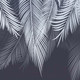 Миниатюра изображения товара Фотообои листовые Citydecor Пальмовые листья (300x260, с оттенком голубой-синий)