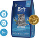 Миниатюра изображения товара Сухой корм для кошек Brit Premium Cat Kitten с курицей / 5049684 (8кг)