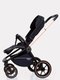 Миниатюра изображения товара Детская универсальная коляска MOWbaby Zoom PU 2 в 1 / RA086 (Gold Black)