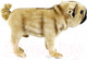 Миниатюра изображения товара Мягкая игрушка Hansa Сreation Собака мопс / 5951 (38см)
