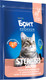 Миниатюра изображения товара Сухой корм для кошек Brit Premium Cat Sterilized Salmon&Chicken / 5049356 (400г)