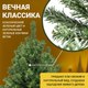 Миниатюра изображения товара Ель искусственная Winter Time 245 / NRV08-1537T