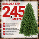 Миниатюра изображения товара Ель искусственная Winter Time 245 / NRV08-1537T