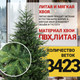 Миниатюра изображения товара Ель искусственная Winter Time 245 / EB08-3423T