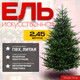 Миниатюра изображения товара Ель искусственная Winter Time 245 / EB08-3423T